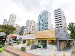 Balestier Road (D12), Shop House #588620291